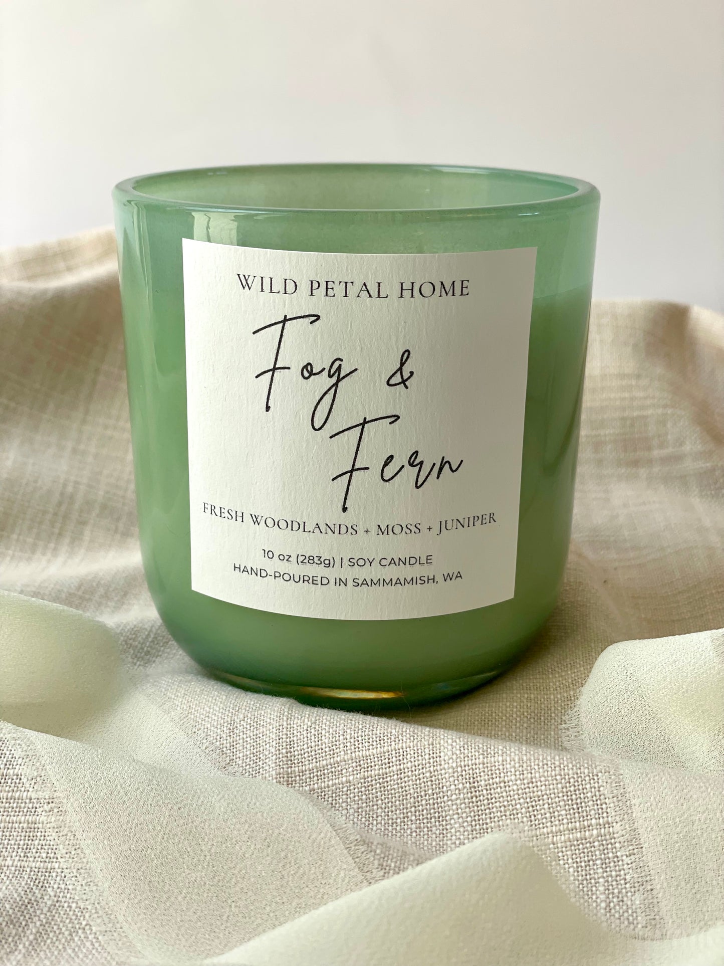 Fog & Fern