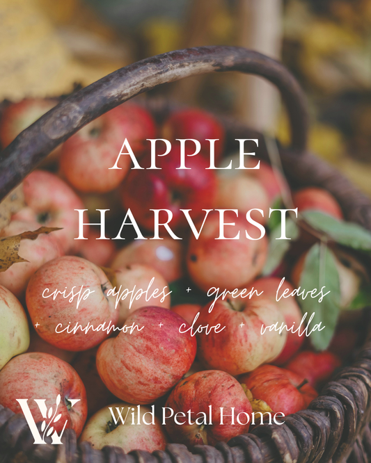 Apple Harvest