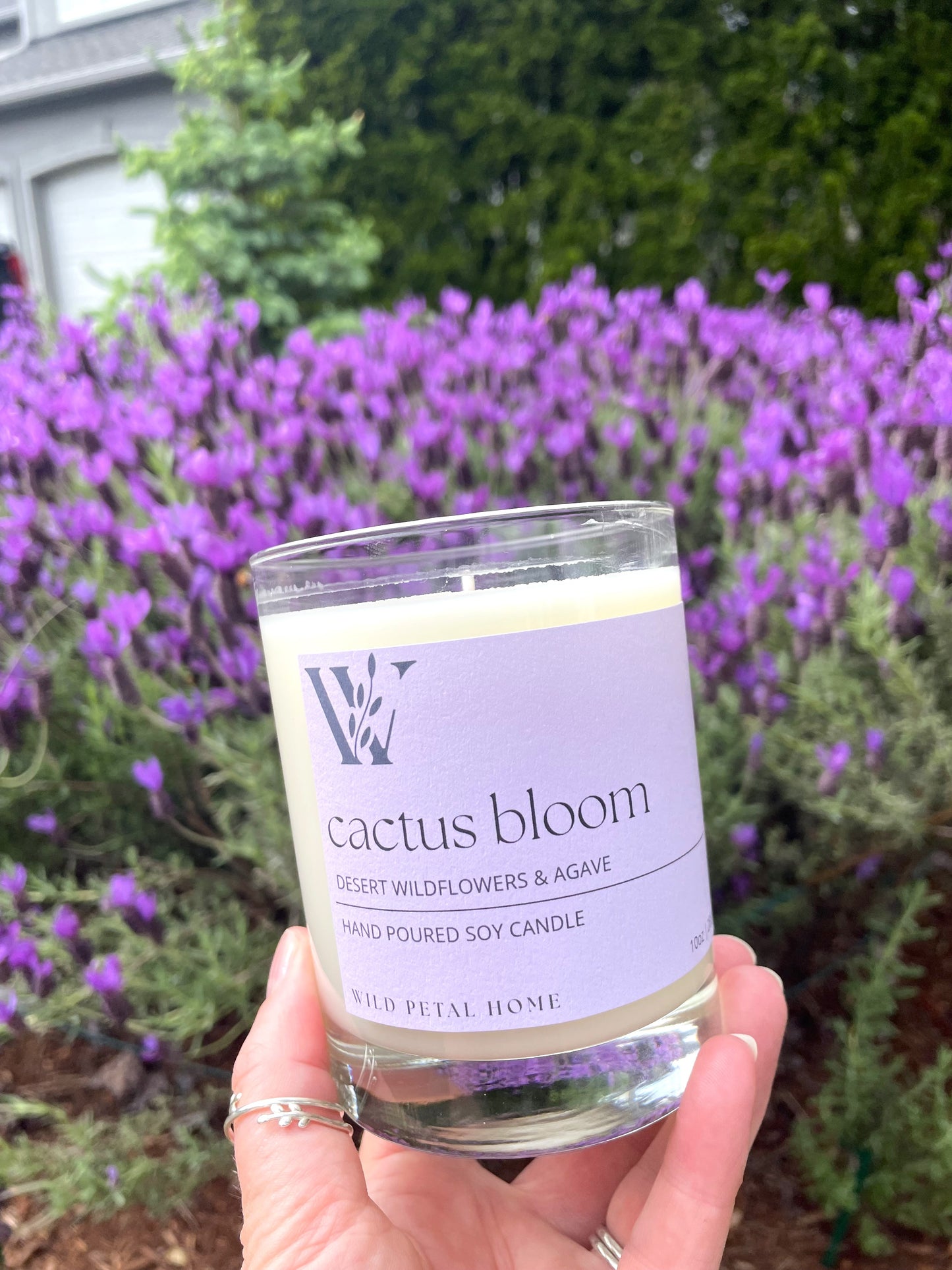 Cactus Bloom Candle